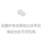 DeepSeek 推出 DeepSeek Harness 桌面版