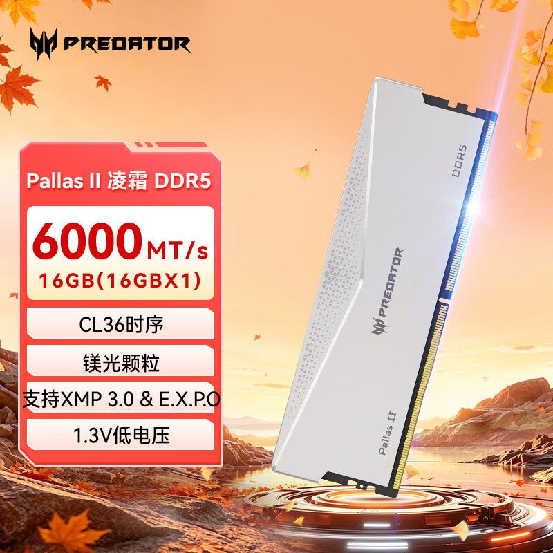 PREDATOR DDR5 6000 内存条